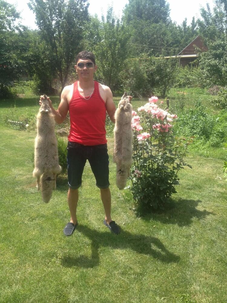 ���������� ������, ���� ������� �����, 38 ���, ������������ 