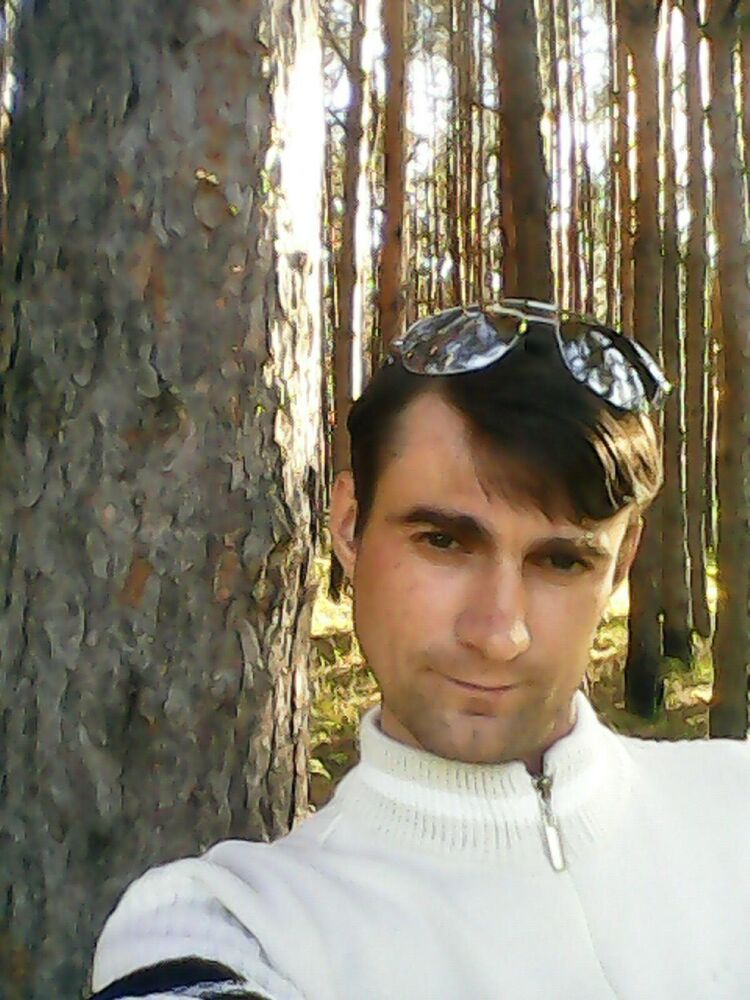  50757486  , 41 ,    