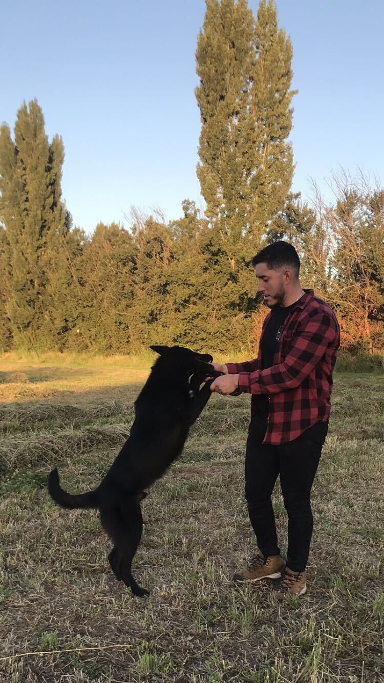  Cerrillos,    Rose, 39 ,   ,   