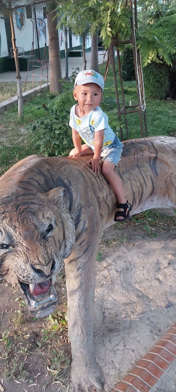 ���������� �����, ���� ������� ���, 41 ���, ������������ ��� ������, ����� � ���������