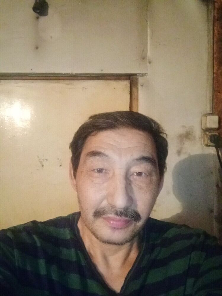  22124816  , 61 ,    -