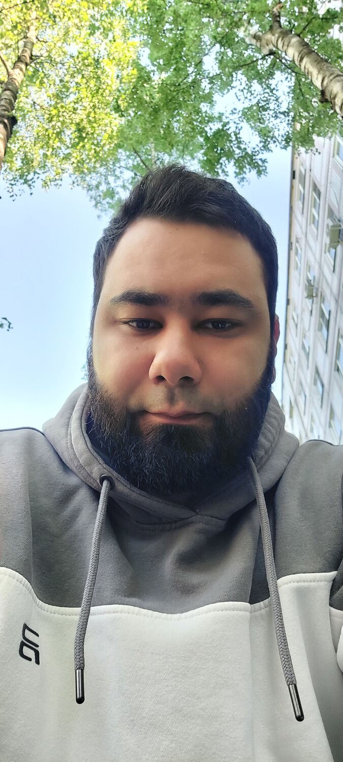  33632416  , 31 ,    