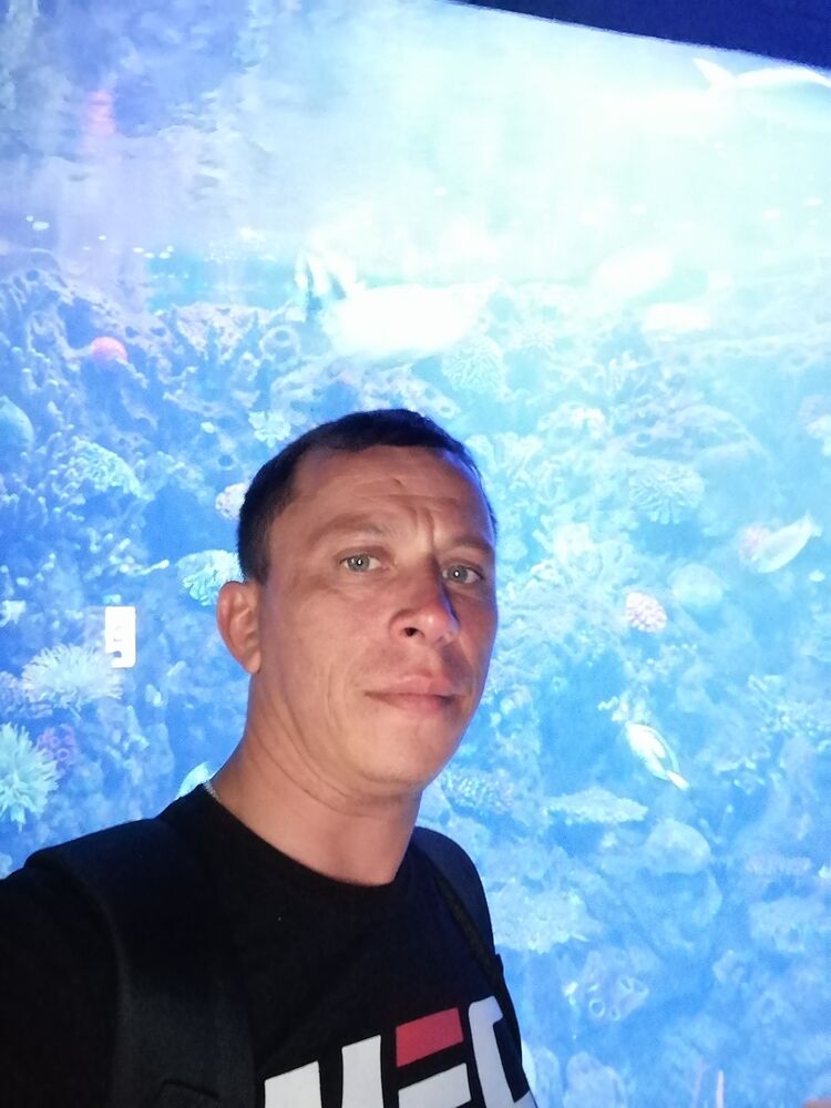 ���� 23677926 ������� ����, 43 ����, ���� ���������� � ������