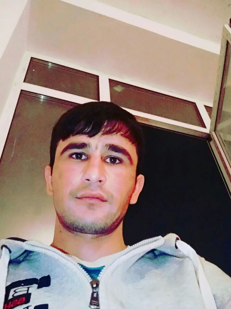  53741966  , 36 ,    -