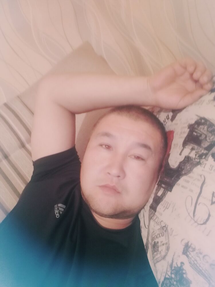  39488756  , 40 ,    -