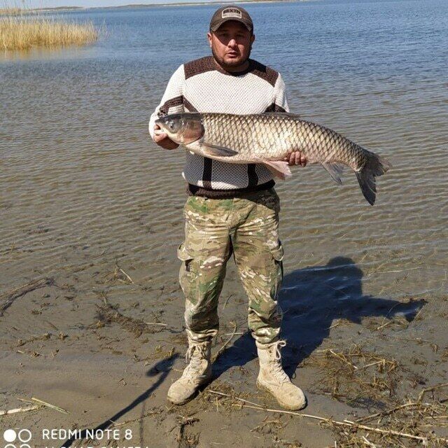 ���� 44812526 ������� �����, 43 ����, ���� ���������� � ������ ���������