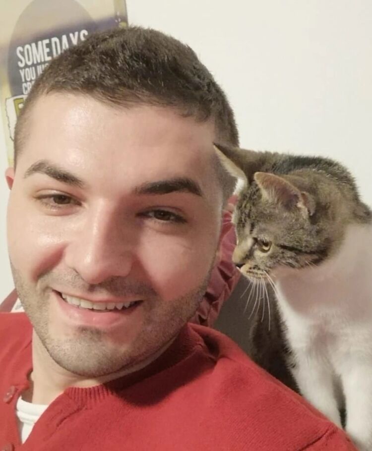  43562256  , 43 ,    -