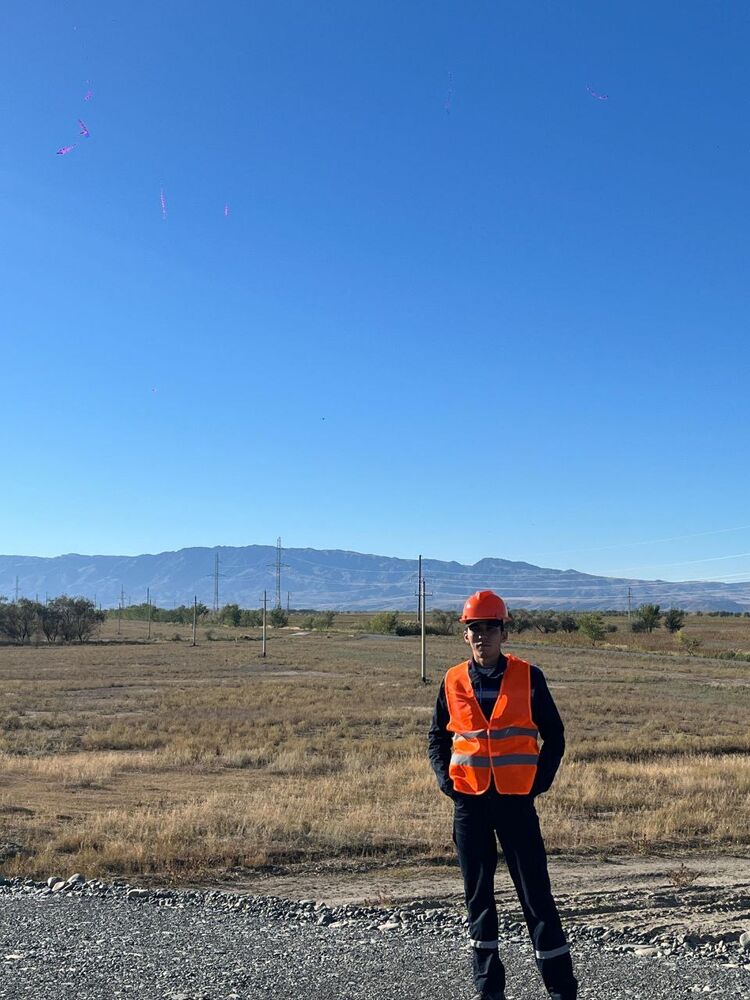 ���� 53937446 ������� ��������, 31 ���, ���� ���������� � ��������