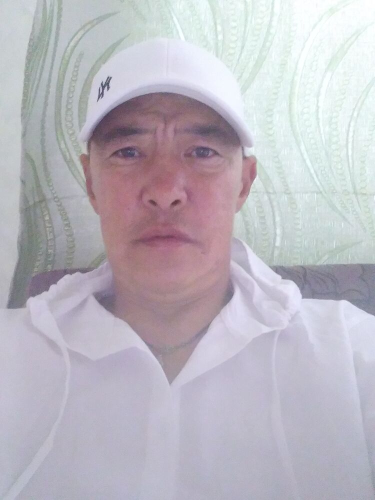  44632786  , 46 ,    