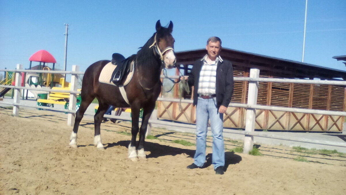 ���������� ���������, ���� ������� �������, 54 ����, ������������ ��� ������, ����� � ���������, c�������� ���������