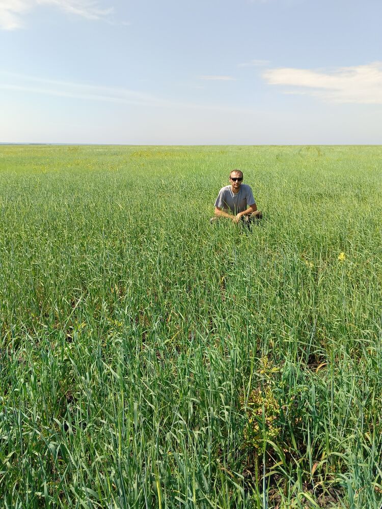 ���������� ������, ���� ������� �������, 38 ���, ������������ ��� c�������� ���������, ���������