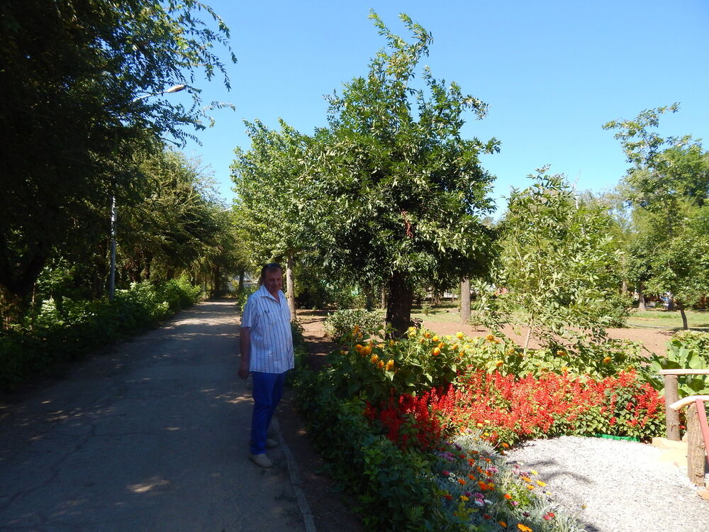  ,   , 55 ,   