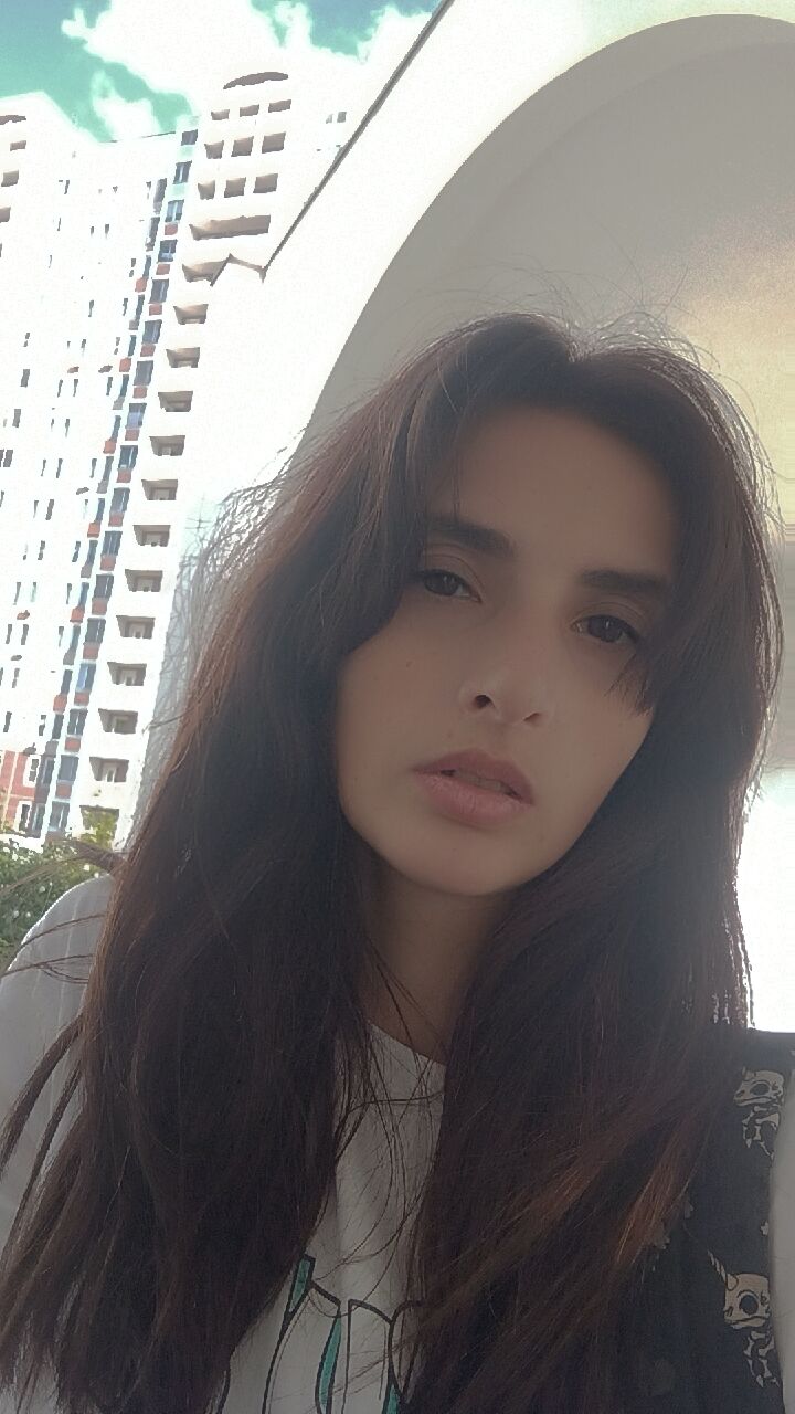  53856556  , 29 ,    