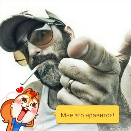  -,   , 54 ,   ,   , c , 