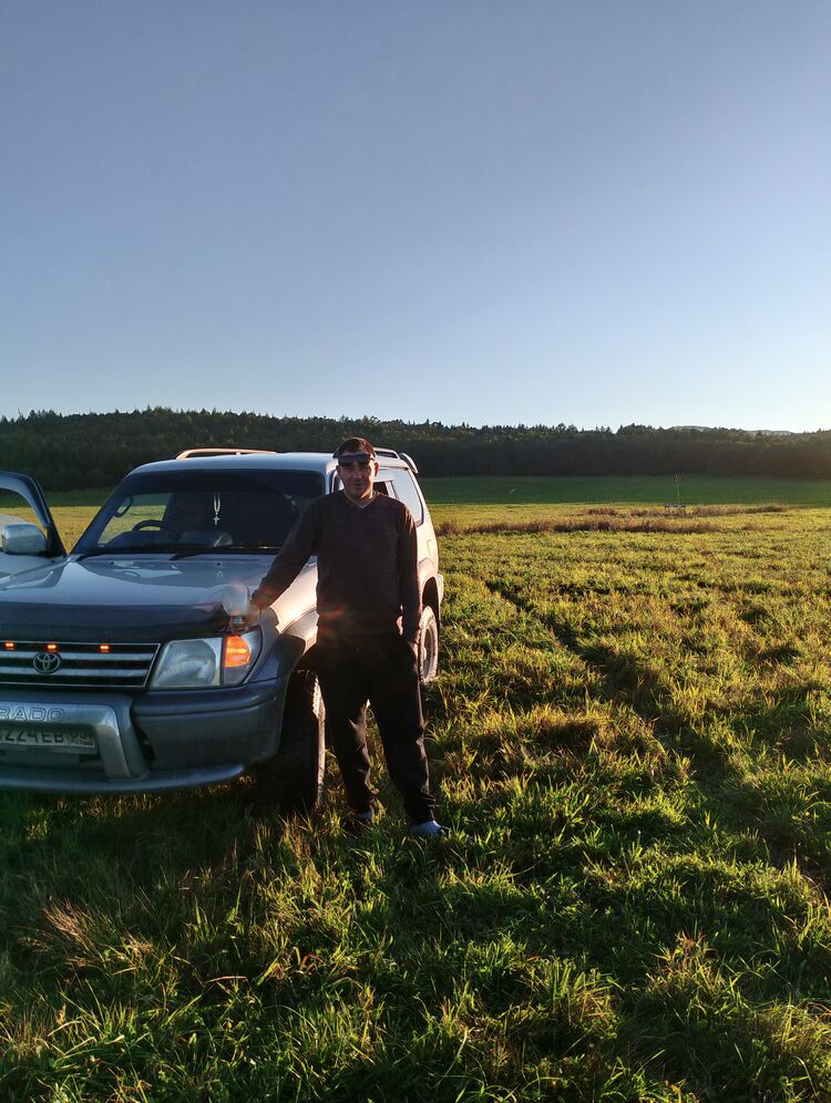  54034296  , 43 ,    -