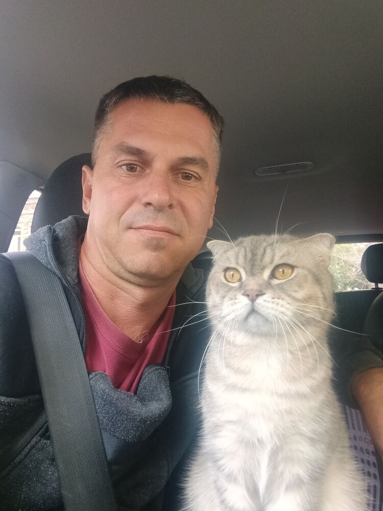 ���� 52913146 ������� �������, 40 ���, ���� ���������� � ���������