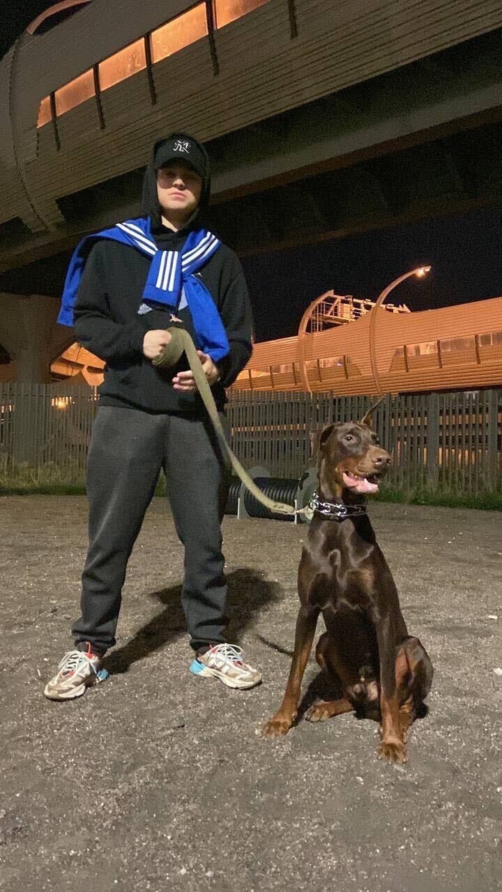 ���� 43508776 ����� Anton, 23 ����, ���� ���������� � �����-����������