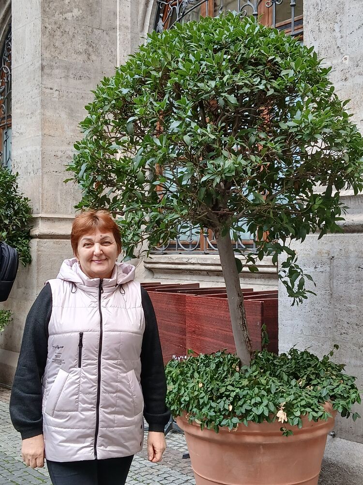 ���������� ���������, ���� ������� �����, 54 ����, ������������ ��� c�������� ���������, ���������