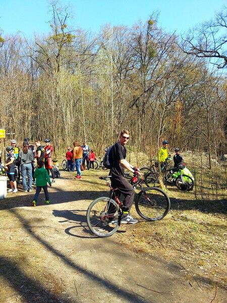 ���������� ����, ���� ������� �������, 46 ���, ������������ ��� ������