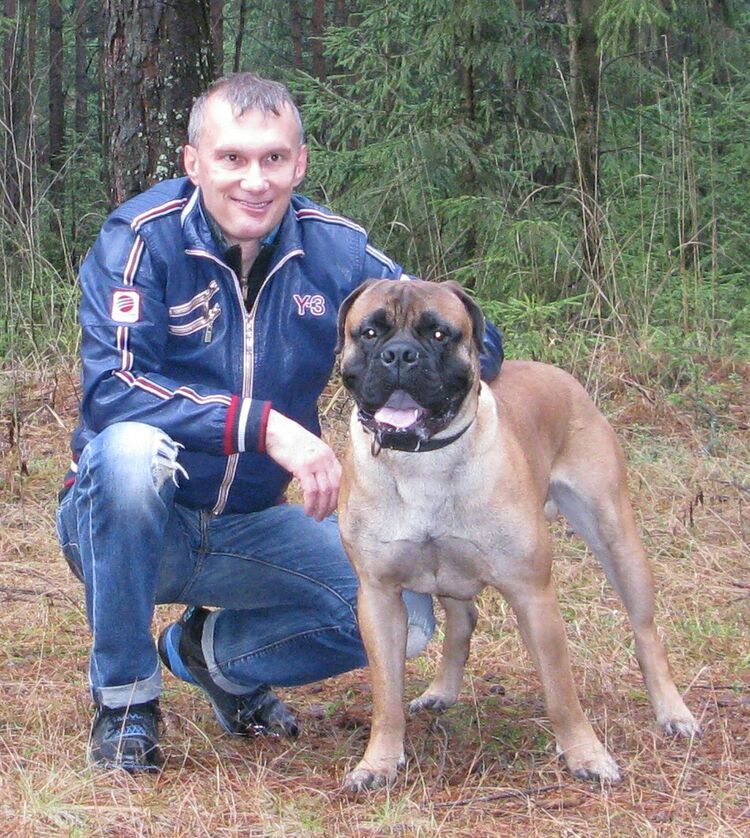 ���������� ������, ���� ������� ������, 56 ���, ������������ ��� ������, ����� � ���������, c�������� ���������