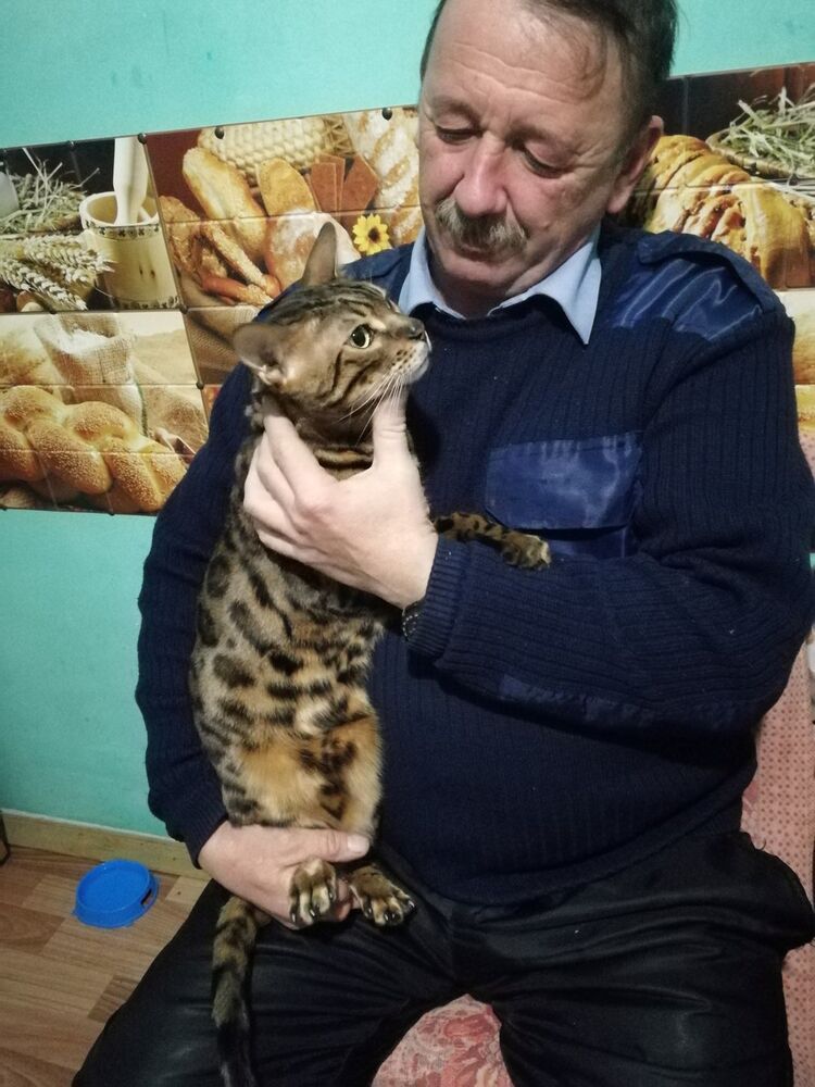  ,   , 58 ,   