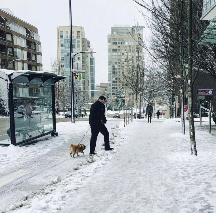 ���������� ������, ���� ������� Frank, 57 ���, ������������ ��� ������, ����� � ���������, c�������� ���������