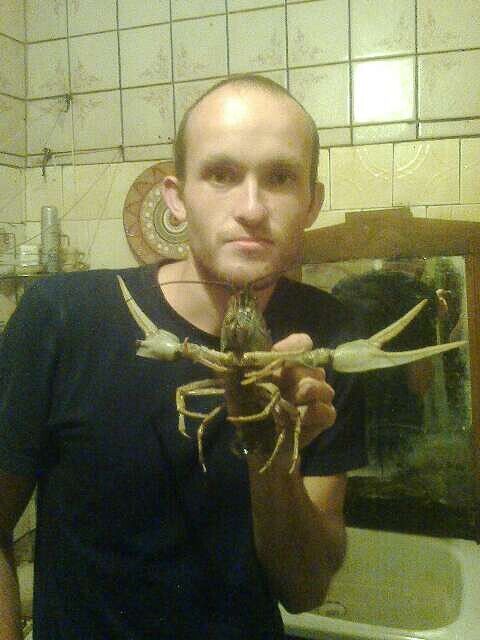 ���� 46528506 ������� �������, 36 ���, ���� ���������� � ������