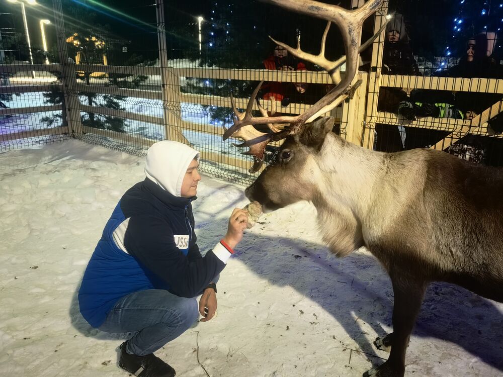 ���������� ���, ���� ������� �����, 39 ���, ������������ ��� ������, ����� � ���������, ���������