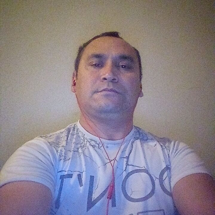 ���� 31108896 ������� ����������, 44 ����, ���� ���������� � �������������