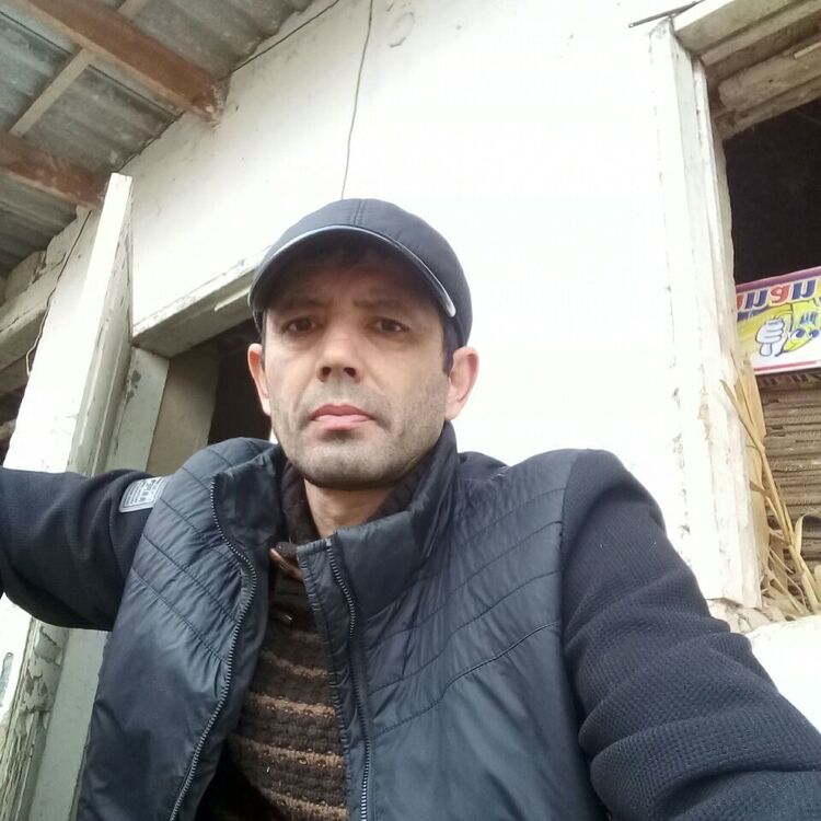  42135956  , 52 ,    