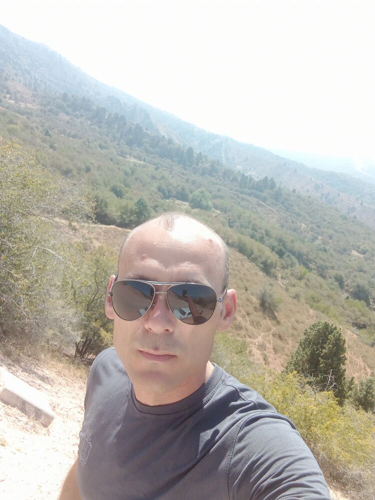  31551646  , 38 ,    