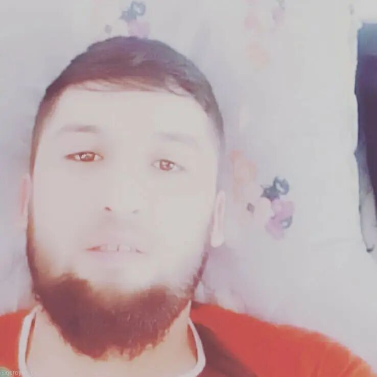 ���� 23393396 ������� SHOX, 30 ���, ���� ���������� � ������