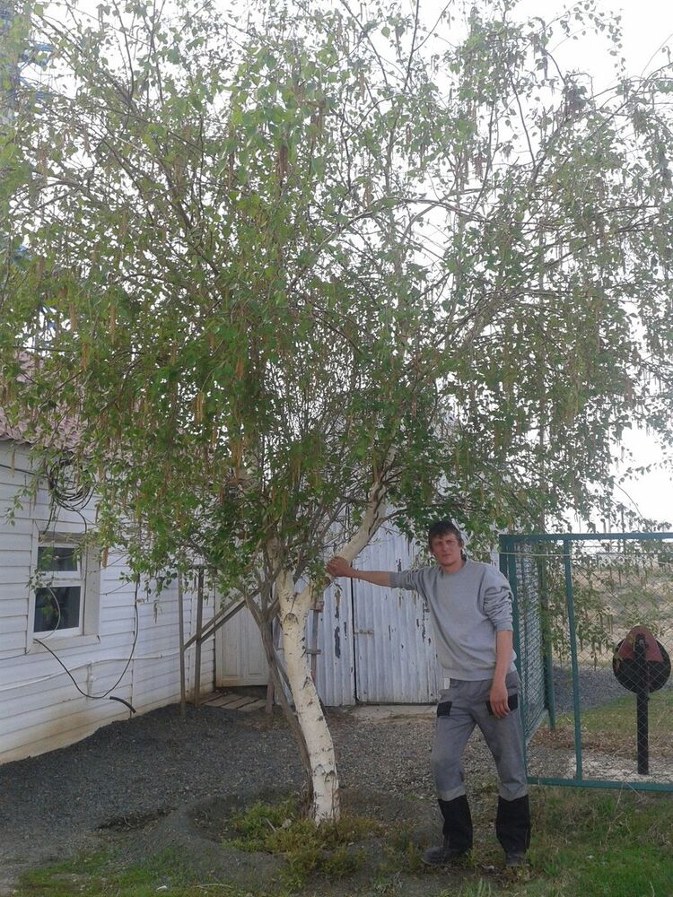 ���� 6034266 ������� ���������, 40 ���, ���� ���������� � ���������