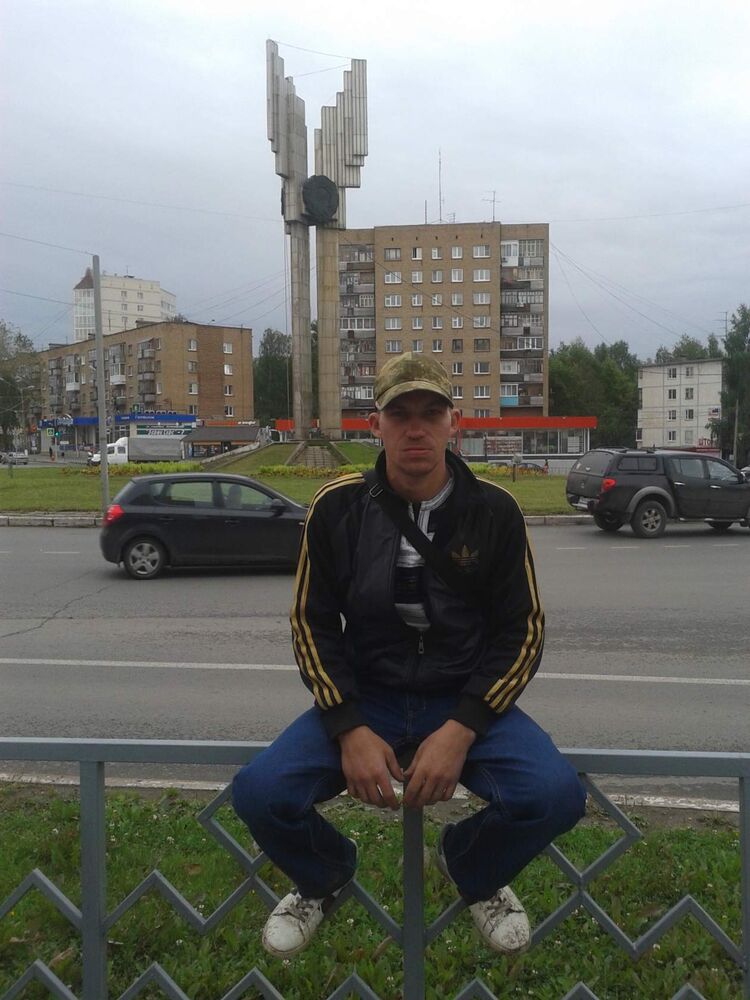  53105566  , 39 ,    -