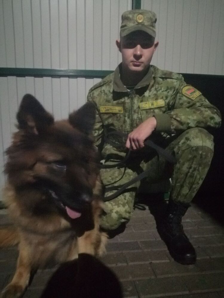  31476696  Grechanukh, 22 ,    