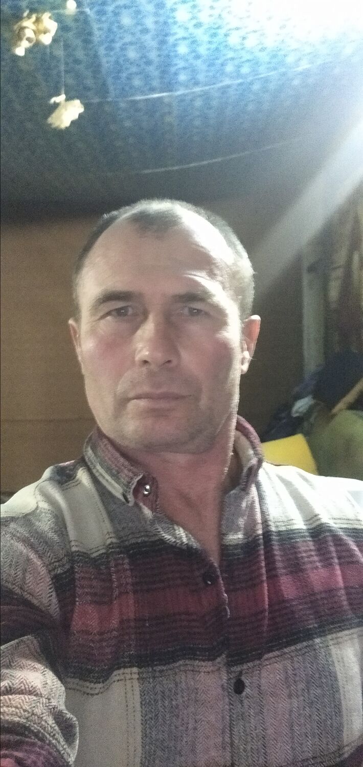 ���� 31382206 ������� �����, 51 ���, ���� ���������� � ��������