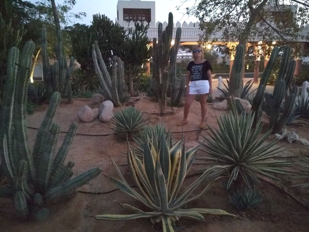 ���������� ������, ���� ������� ������, 60 ���, ������������ 