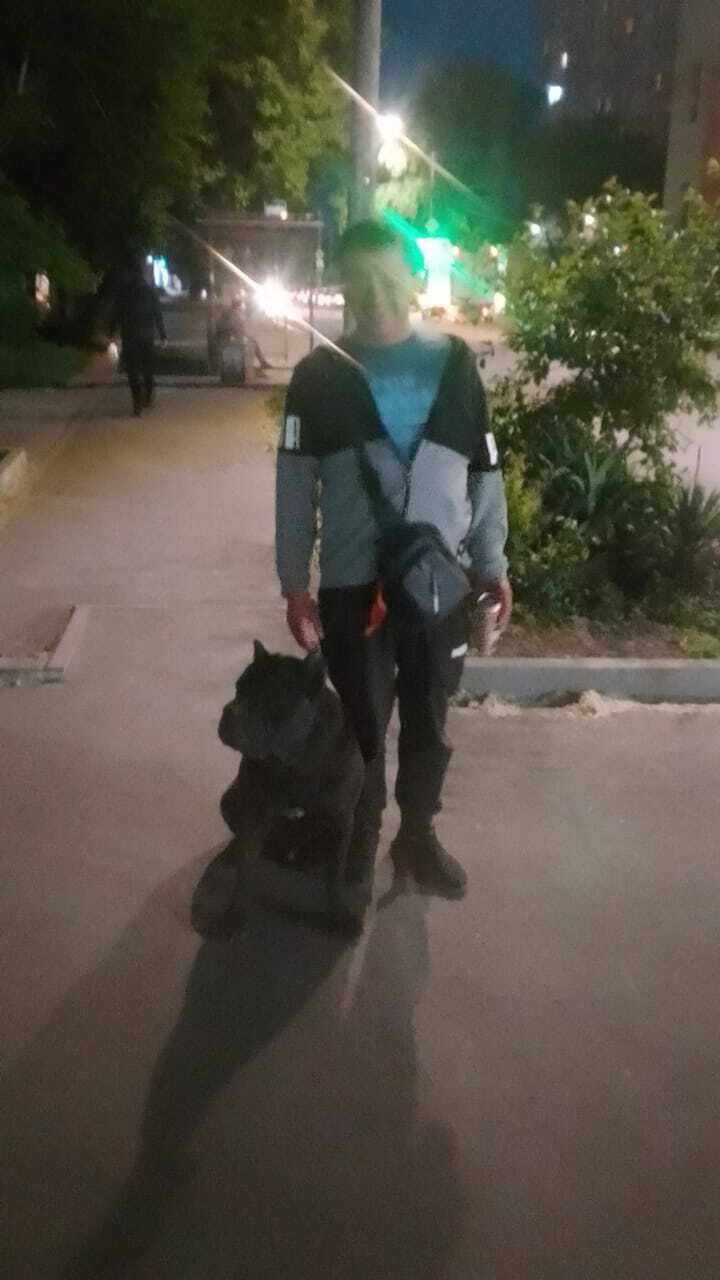  43513486  , 42 ,    --