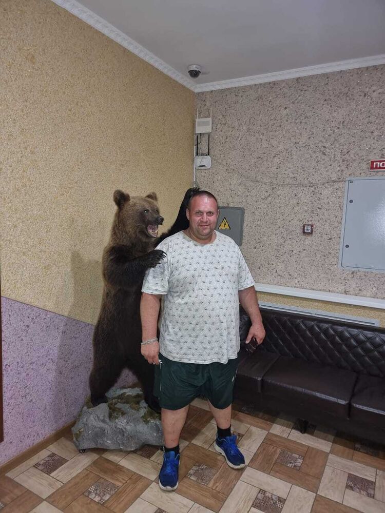 ���� 23582396 ������� ������, 50 ���, ���� ���������� � �������������