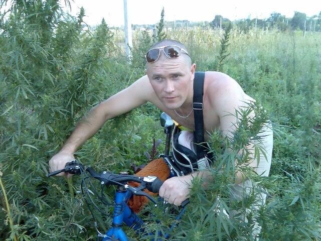 ���������� �����������, ���� ������� ������, 44 ����, ������������ ��� ������, ����� � ���������, c�������� ���������