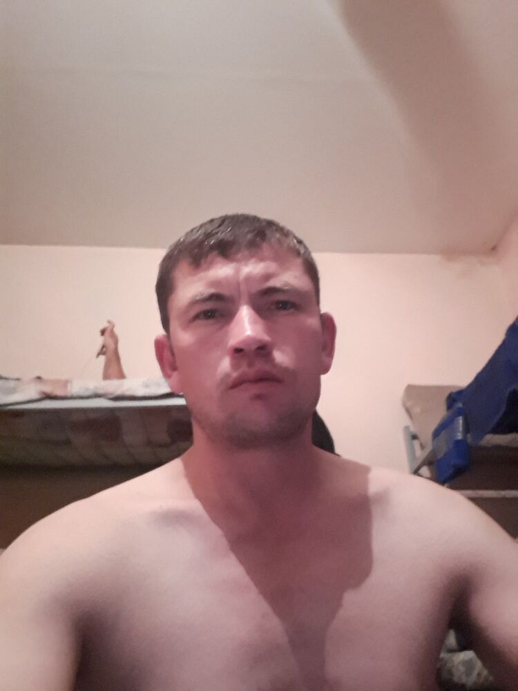  13767556  , 43 ,    -