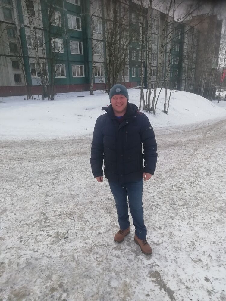 ���� 22487726 ������� Vitek, 39 ���, ���� ���������� � �������