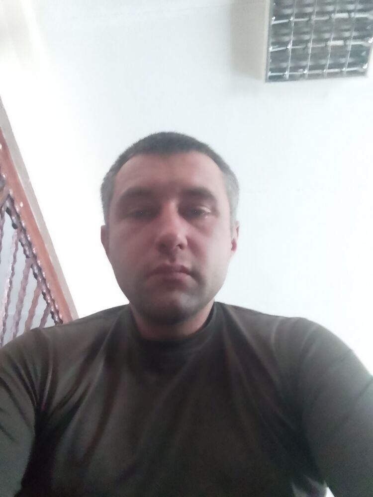  31342366  , 36 ,    