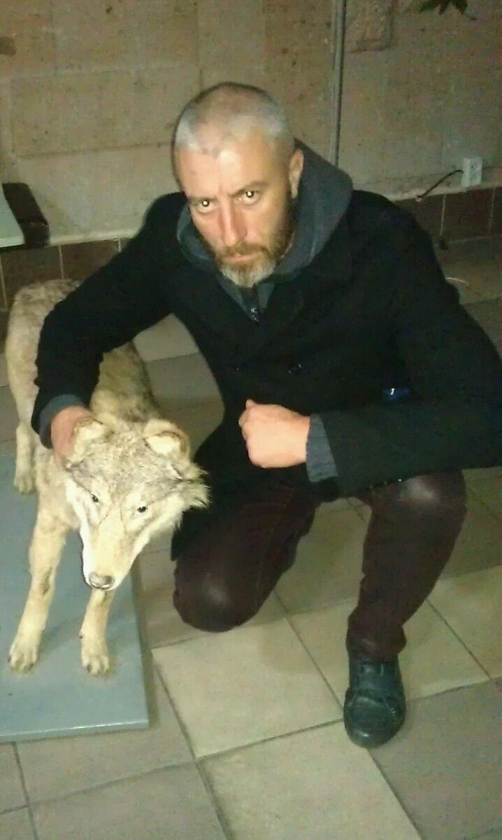  ,   , 51 ,   