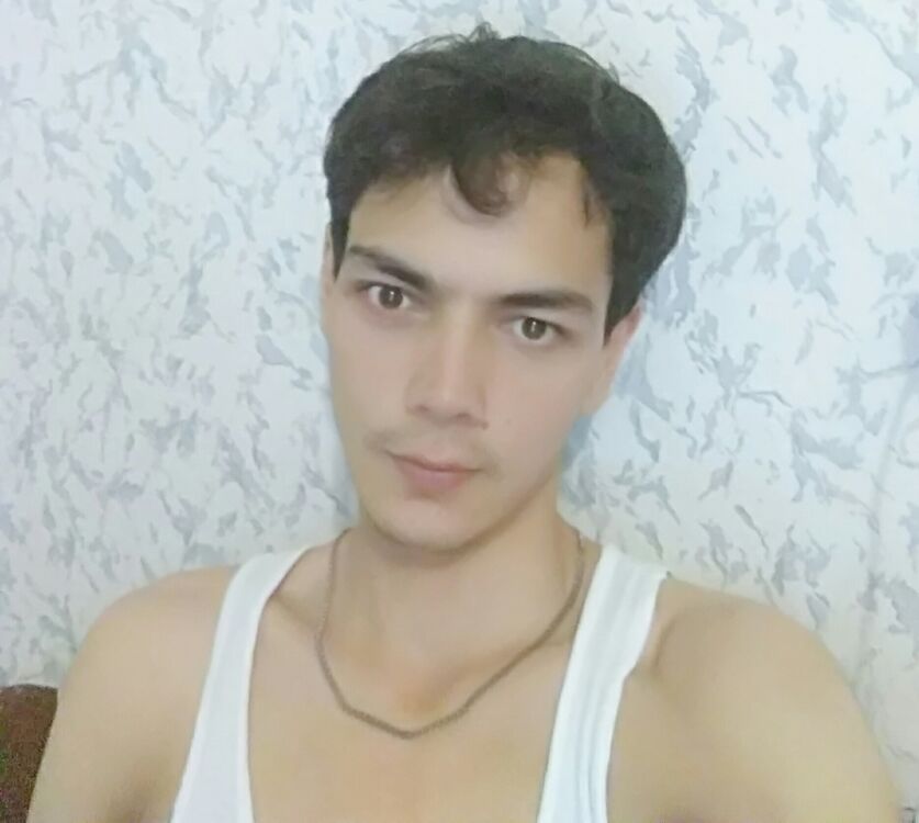  23634996  , 31 ,    -