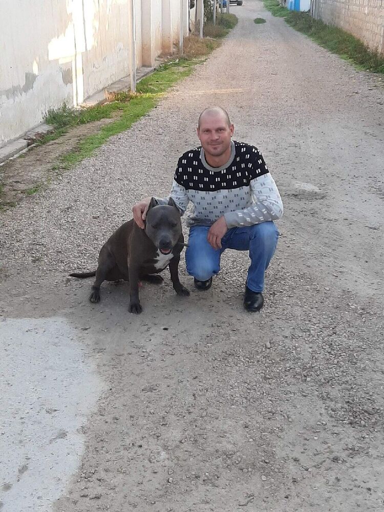 ���������� �����������, ���� ������� Ivan, 36 ���, ������������ 