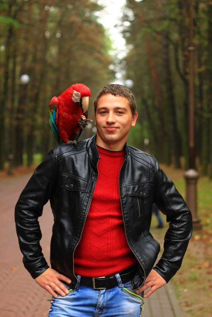 ���������� ���������, ���� ������� �����, 31 ���, ������������ ��� ������