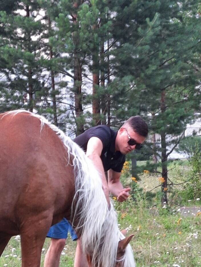 ���� 56129326 ������� ������, 31 ���, ���� ���������� � ���������