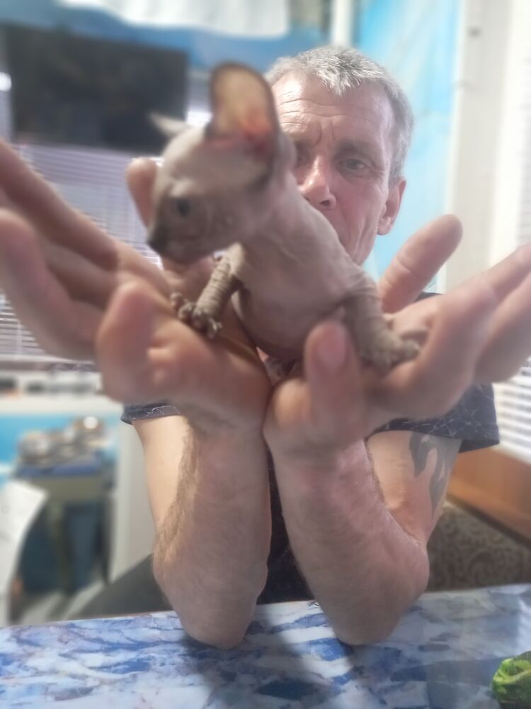  ,   , 43 ,   ,   
