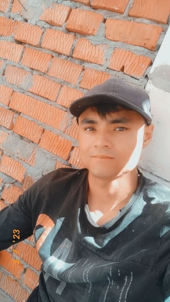  49586146  , 24 ,    